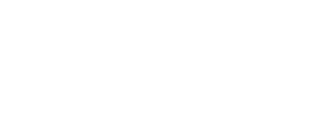 PALINI IMMOBILIARE S.R.L.